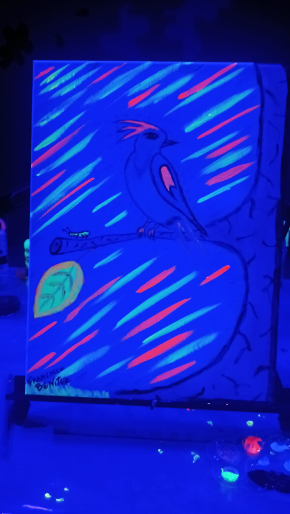 neon 33